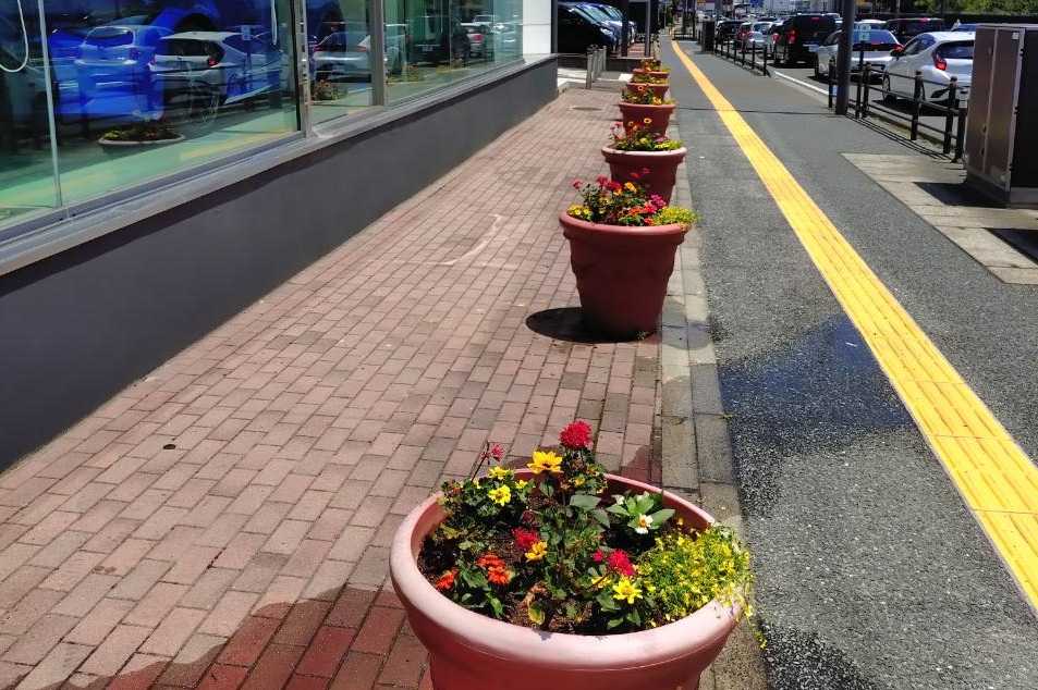 夏の花壇作業